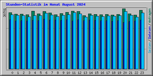 Stunden-Statistik im Monat August 2024