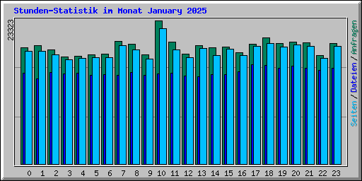 Stunden-Statistik im Monat January 2025